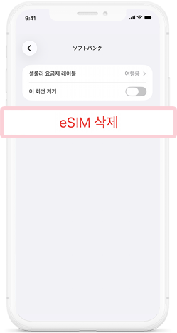 eSIM 삭제