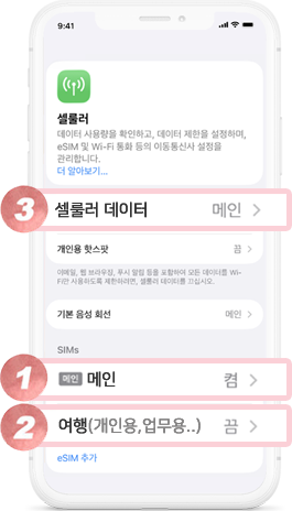 셀룰러 설정 확인